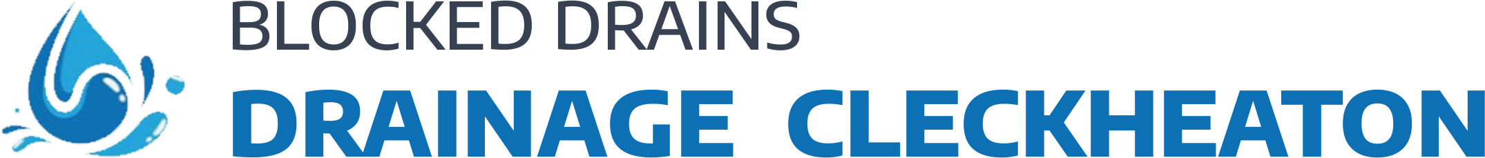website logo